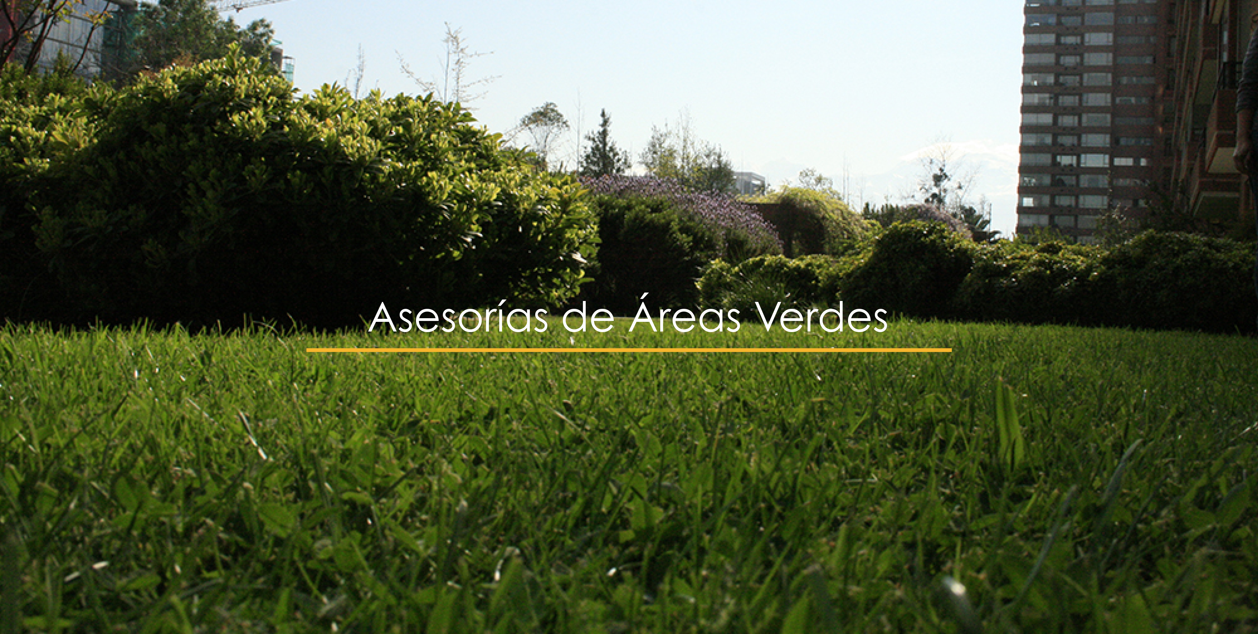 asesorias2
